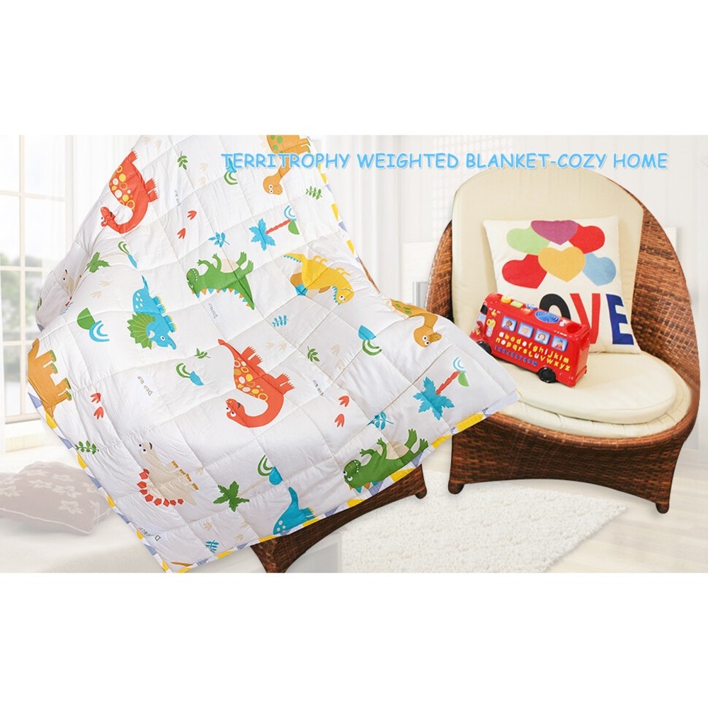 TerriTrophy Kids Dinosaur Weighted Blanket 7lbs 41 x 60in